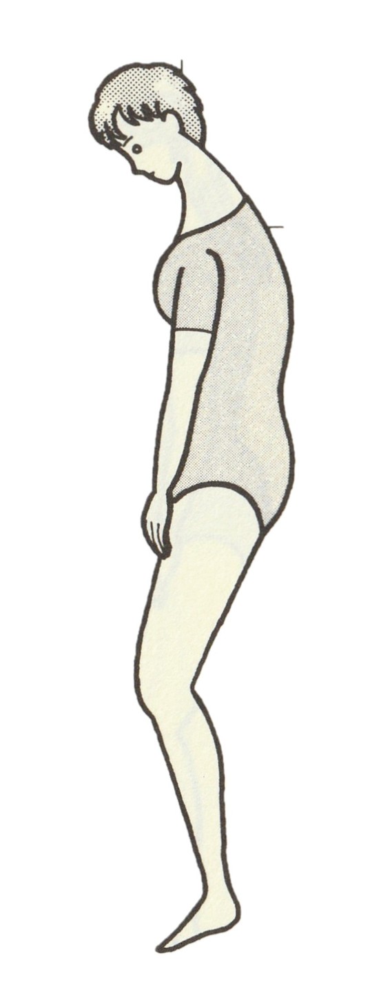 十二種体型をもとにした治療法 - 茅ヶ崎市で腰痛・膝痛・肩こりなら