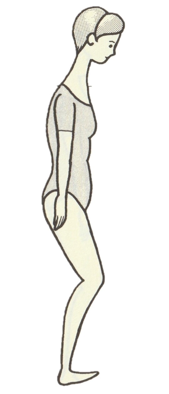 十二種体型をもとにした治療法 - 茅ヶ崎市で腰痛・膝痛・肩こりなら